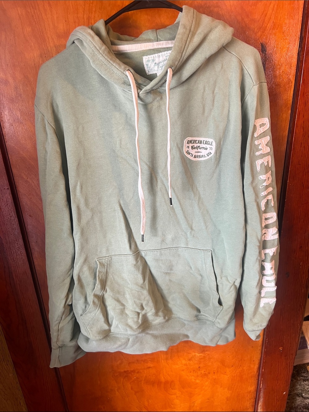 American Eagle Outfitters Bonfire Sage Fleece Graphic Hoodie Men’s Small